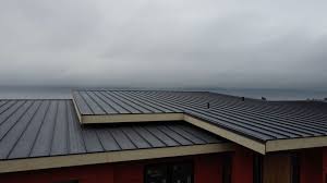 Best Sheet Metal Roofing  in Fort Mill, SC